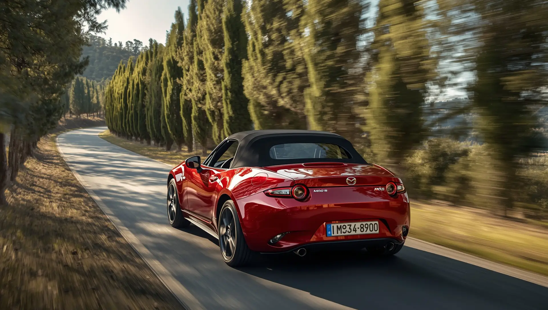 Auto cabrio per itinerari panoramici