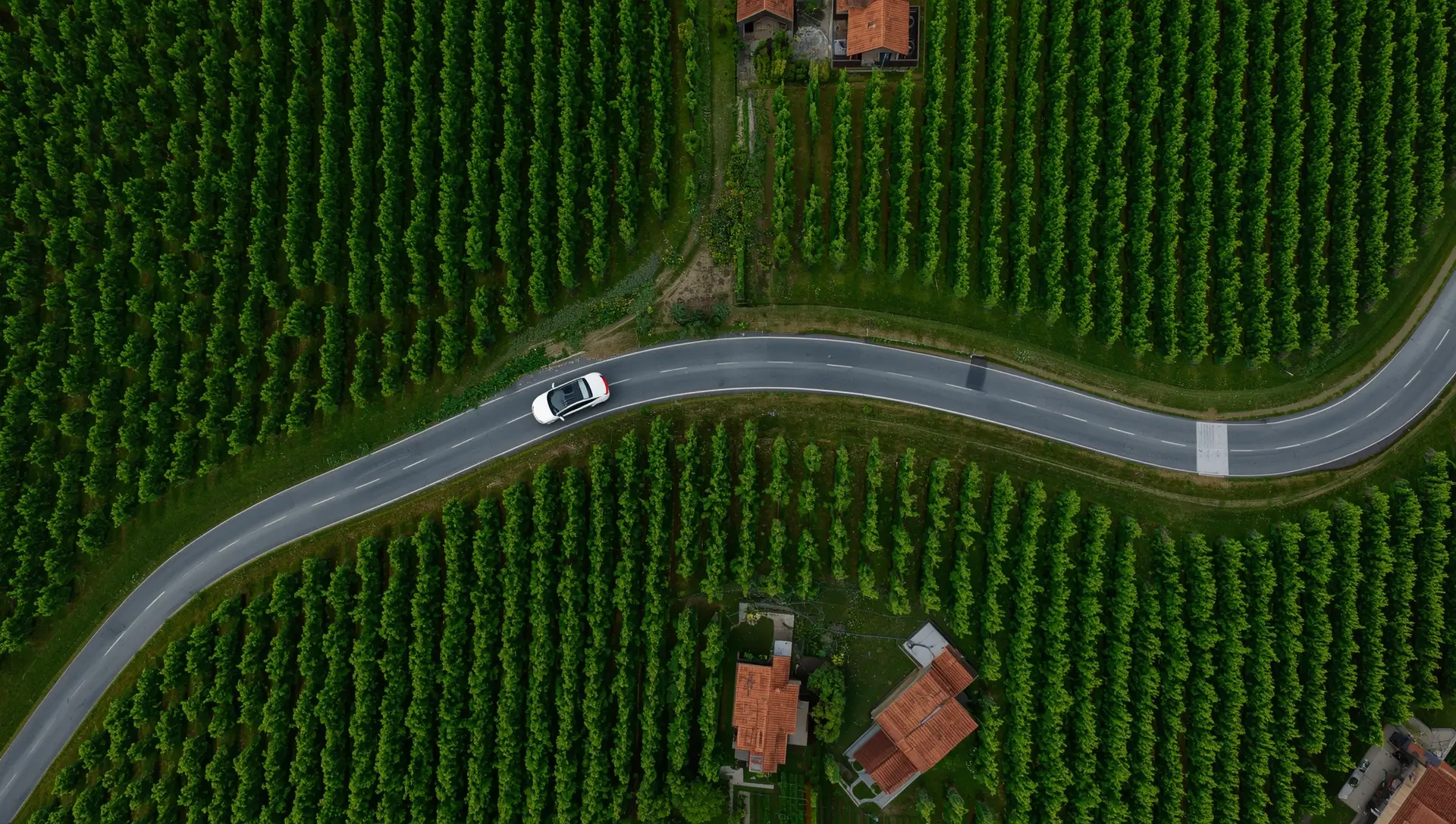 Strada panoramica sui colli vicino Padova
